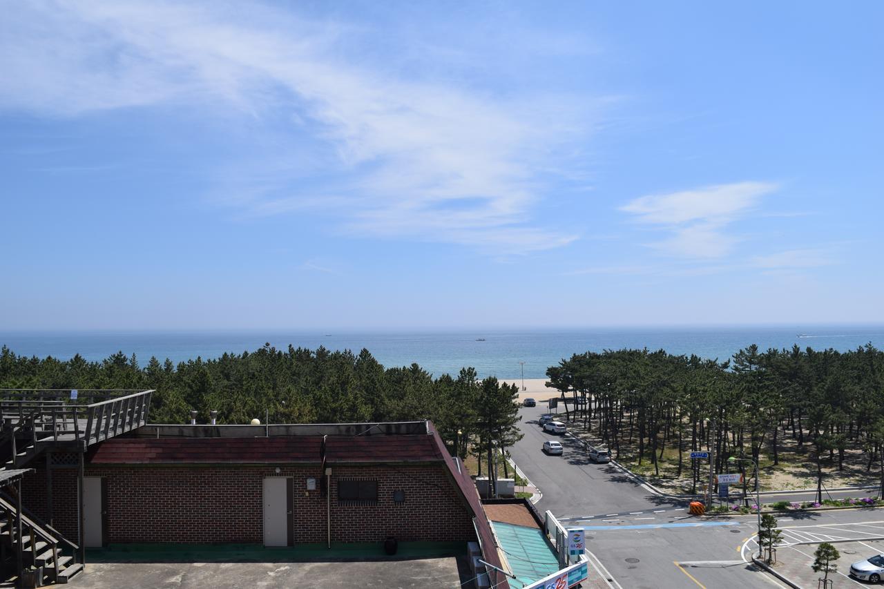 Sumsum Guest House Янъян Экстерьер фото